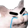 AngeryCryCat