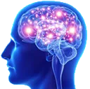 BigBrain