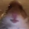 bruhmitai