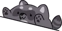raccoonBongo
