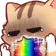 kitten_vomit