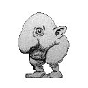 nose