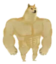 dogstrong dogstrong