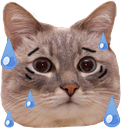 Vaush please add these emotes to v.gg : r/VaushV