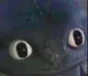 toothless