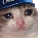 CatSad_1