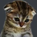 sad