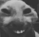 JEKA_999