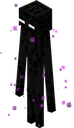 longman longman