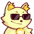 cat_cool