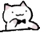 bongokyuuchan