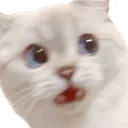 shockedface