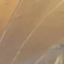 1_