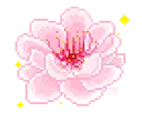 blossom