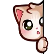 inzPeek