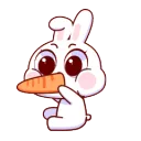 Bunny_Eating