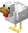Chicken Chicken
