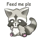HungryRaccoon