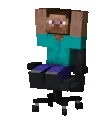 SteveChair