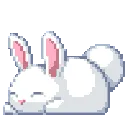 pekaboo82_bunny3
