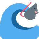 rat_water_wave