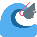 rat_water_wave