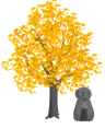 fsc_ginkgo