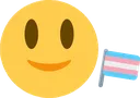 gender_euphoria