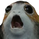 ooo