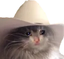 howdyho