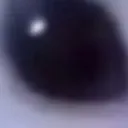 herbertseye