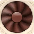 noctua