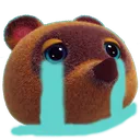 nookcry