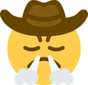triumphcowboy