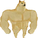 dogebuff