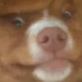 JefferZ JefferZ