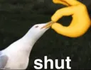 ShUT