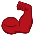 flex flex