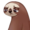 cry_sloth cry_sloth