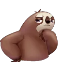 confused_sloth confused_sloth