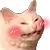 blushcat