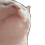 catJAM Discord Emoji