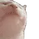 catJAM catJAM