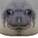 LaesUltraStare