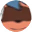 MichiSphere