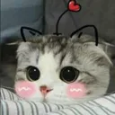 cutekiddy