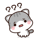 Kittyconfused