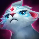 Protector Protector