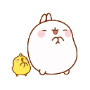 aamolangclap