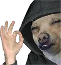 doggo_nice